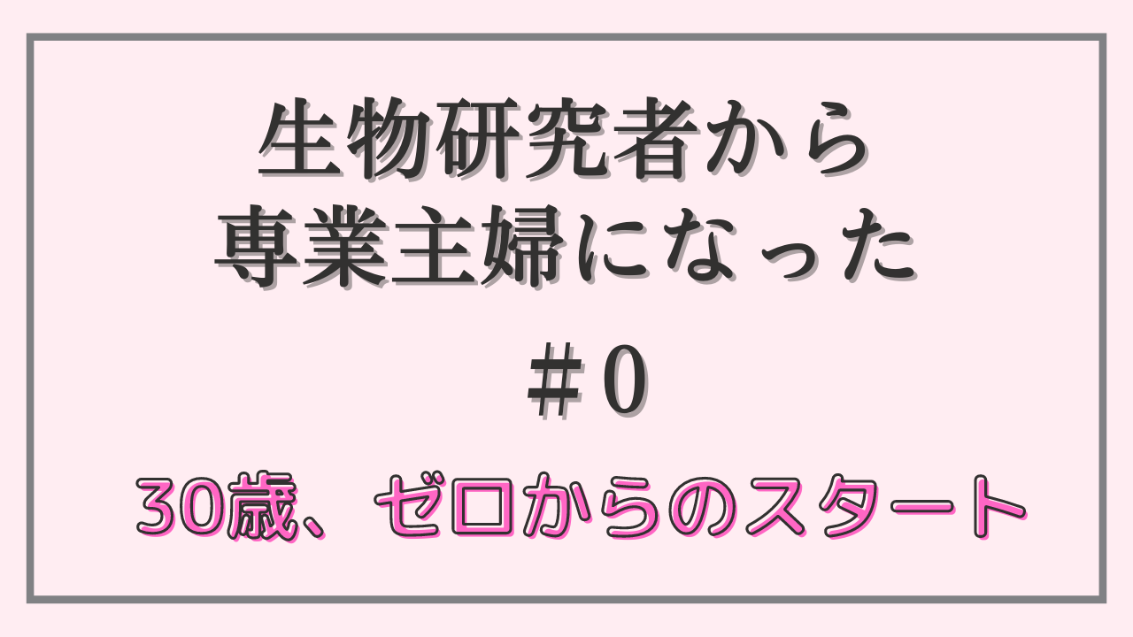 30歳、ゼロからのスタート