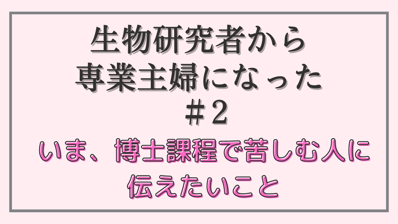 博士課程で苦しんでいる人に伝えたいこと